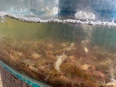 -蓝珊甄选海鲜自助·火锅大排档(近阿那亚店)