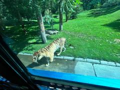 -北京野生动物园