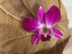 -蝎王府羊蝎子(西直门店)