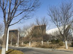 -抱抱地球咖啡馆(国家海洋博物馆店)