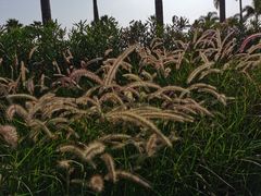 -愿者上钩·纸包鱼(翻身店)