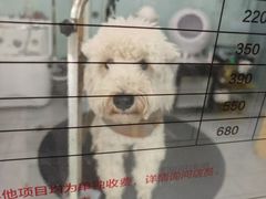 -中农大我爱我爱动物医院·核磁CT·猫病·24小时夜诊中心(石佛营店)