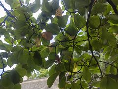 -万寿八仙宫