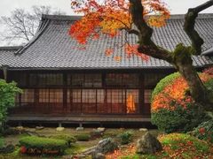 -醍醐寺