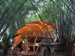 -勐丽梦兰傣味餐厅