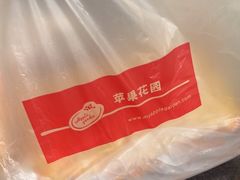 -苹果花园(襄阳南路店)