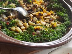 -院里寻菜·精致庭院菜(观沙岭店)