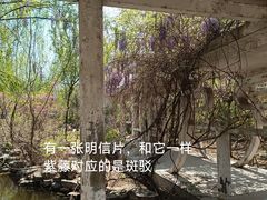 -大悲禅寺