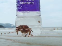 -渔寮风景区