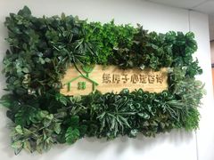 -绿房子心理咨询