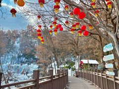-沂蒙山旅游区云蒙景区(蒙山国家森林公园)
