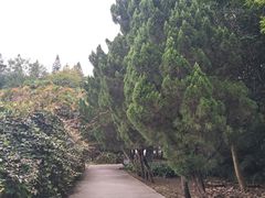 -华南国家植物园-售票处