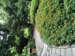 -成都市活水公园