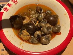 -老表记广西宵夜螺蛳鸭脚煲(西大店)