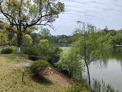 -常德桃花源景区