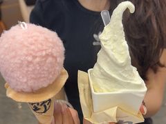 -野人先生现做冰淇淋(西安赛格店)