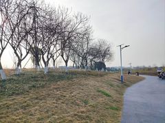 -两河城市森林公园