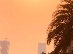 -荔香公园