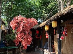 -园林美食城·本土农家菜(杨和镇店)