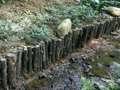 -田心森林公园
