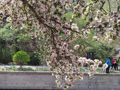 -元大都城垣遗址公园