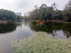 -荔湾湖公园