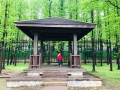 -南京金牛湖风景区