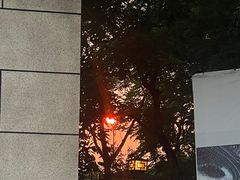 -三圣花乡旅游区