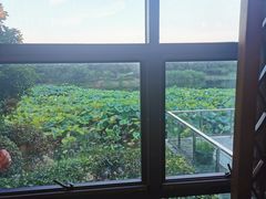 -苏州环秀晓筑养生度假村