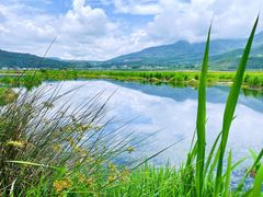 -腾冲北海湿地