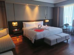 -上海虹桥祥源希尔顿酒店