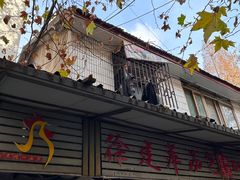 -徐建萍汤包(热河南路店)