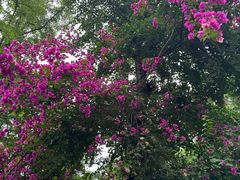 -大妙火锅·非物质文化遗产(东湖公园店)