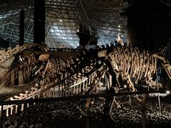 -世界恐龙谷景区