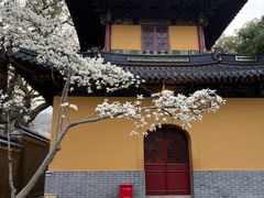 -普陀山风景名胜区-法雨禅寺