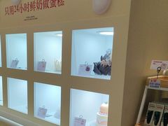 -红星前进面包牛奶公司(君太店)