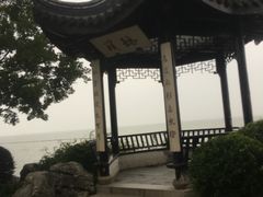 -贡湖湾湿地公园