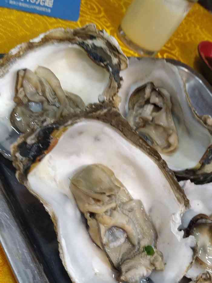 打分 北极贝不新鲜 生蚝不新鲜 感觉没个菜都不怎么