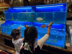 水产区-芭菲盛宴·环球美食(袁家岗店)