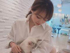 -momokira米努特·德文卷毛猫·棉花面纱犬