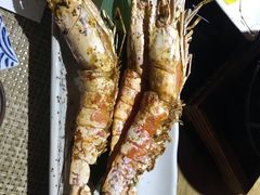 -蟹将军·松叶蟹和牛日料放题自助(K11店)