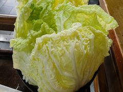 大白菜-马记伊源斋涮肉·清真菜(百子湾店)