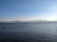 -洱海月湿地公园