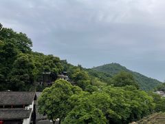 -龙井村