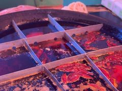 -肥龙火锅(南坪店)