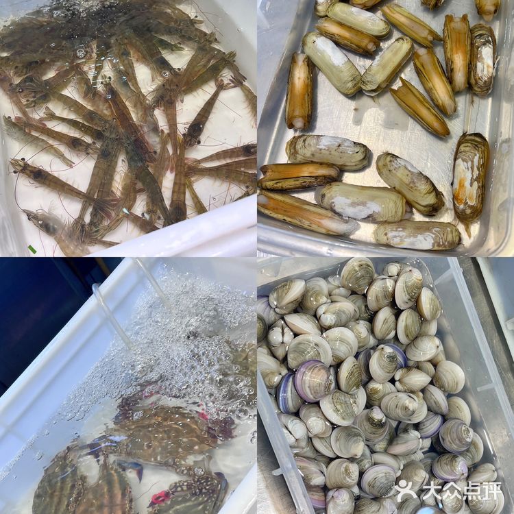 满满一碗都是料🍝宁波海鲜面