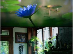 -龙潭生态旅游度假区