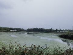 -淇河国家湿地公园