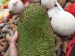 -三亚新鸿港水果一级批发市场
