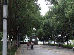 -天鹅湖体育公园